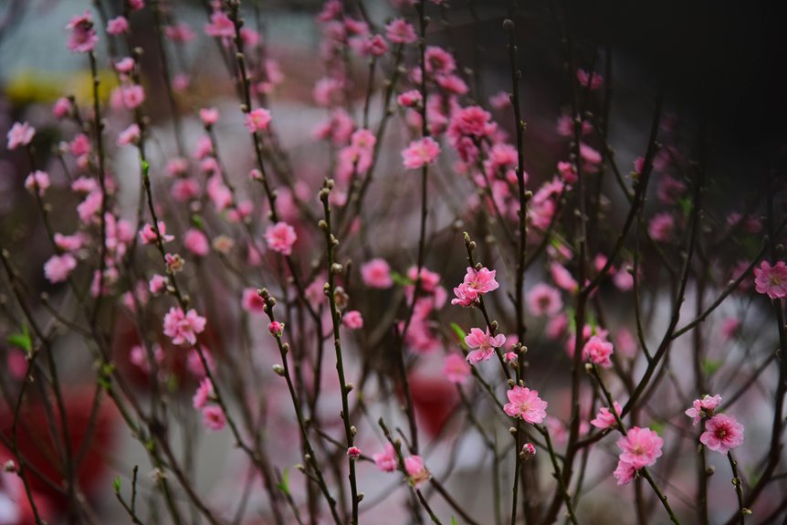 7 Wedding Flowers Every Bride Should Know About